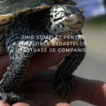 Imagine produs anterior