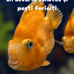 Imagine produs următor