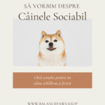 Imagine produs anterior