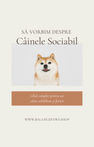 Ghid complet pentru un câine echilibrat și fericit