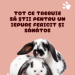 Imagine produs următor