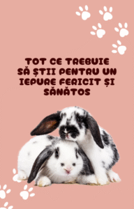 Tot ce trebuie să știi pentru un iepure fericit și sănătos