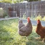 Stabiliți așteptări realiste