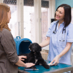 Prima vizită la veterinar și programul de vaccinare