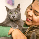  Amplasare, Curățare, Sfaturi